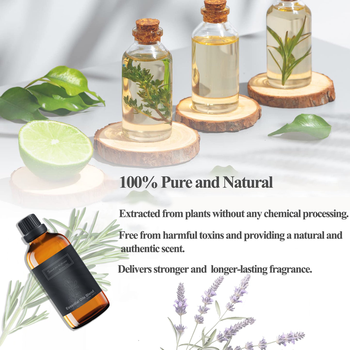 Hotel scents, Hotel Diffuser Oils, Wandering Breeze Aromatherapy Fragrances Inspired by W Hotels, Christmas Gift, Pure Aromatherapy Diffuser Oil with Rose, and Cedarwood- 3.38 Fl Oz