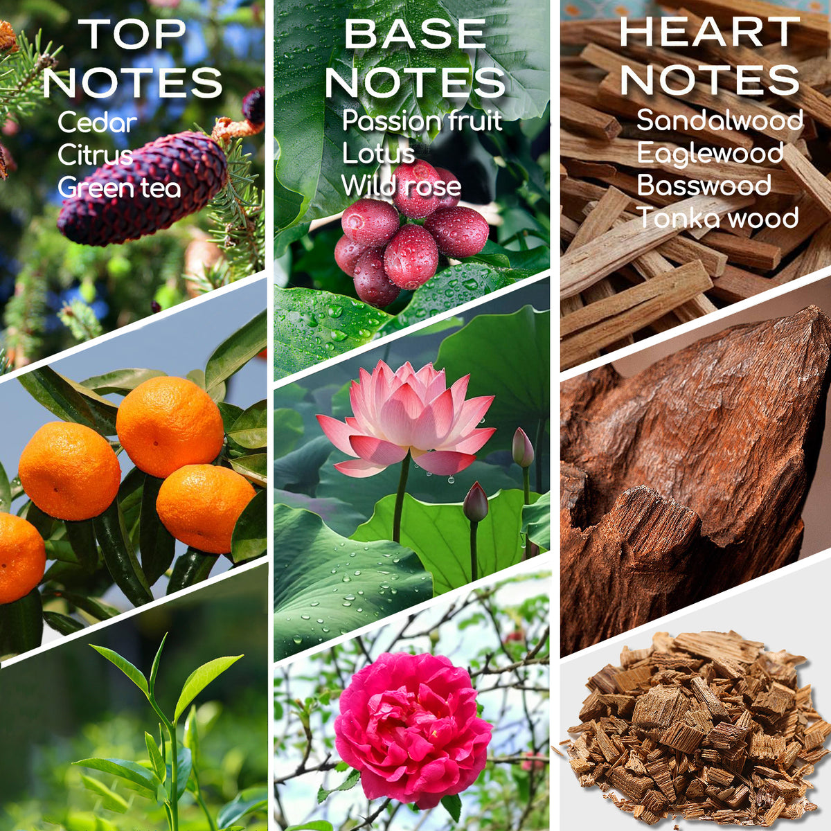 Elegant Charisma Essential Oil Inspired by Shangri-La Hotel | Hotel Collection - Pure Aromatherapy Diffuser Oil with Cedarwood and Sandalwood, Home Luxury & Hotel Scents for Diffuser - 10mL