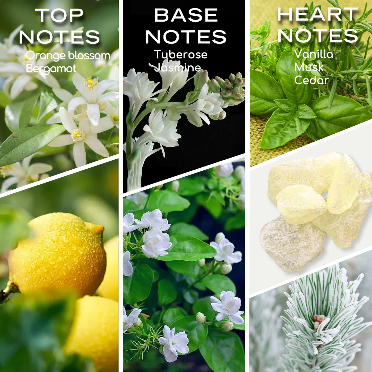My Way Essential Oil, Diffuser Oil, Home Luxury & Scents for Diffuser, Christmas Gift 30ML Pure Diffuser Oil with Lemon, Tuberose and Vanilla for Aromatherapy