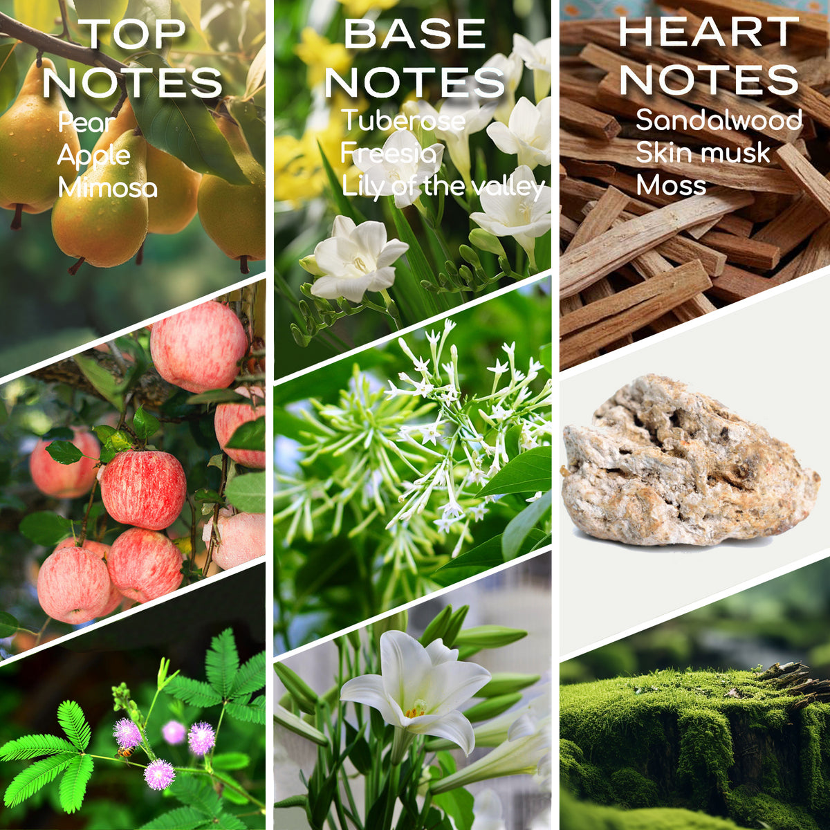 Hotel Scents Roy Tranquility 10ML Essential Oil Inspired by Hotel, Christmas Gift, Hotel Diffuser Oil with Lemon, Jasmine and Amber, Luxury Home Aromatherapy Fragrances Oil