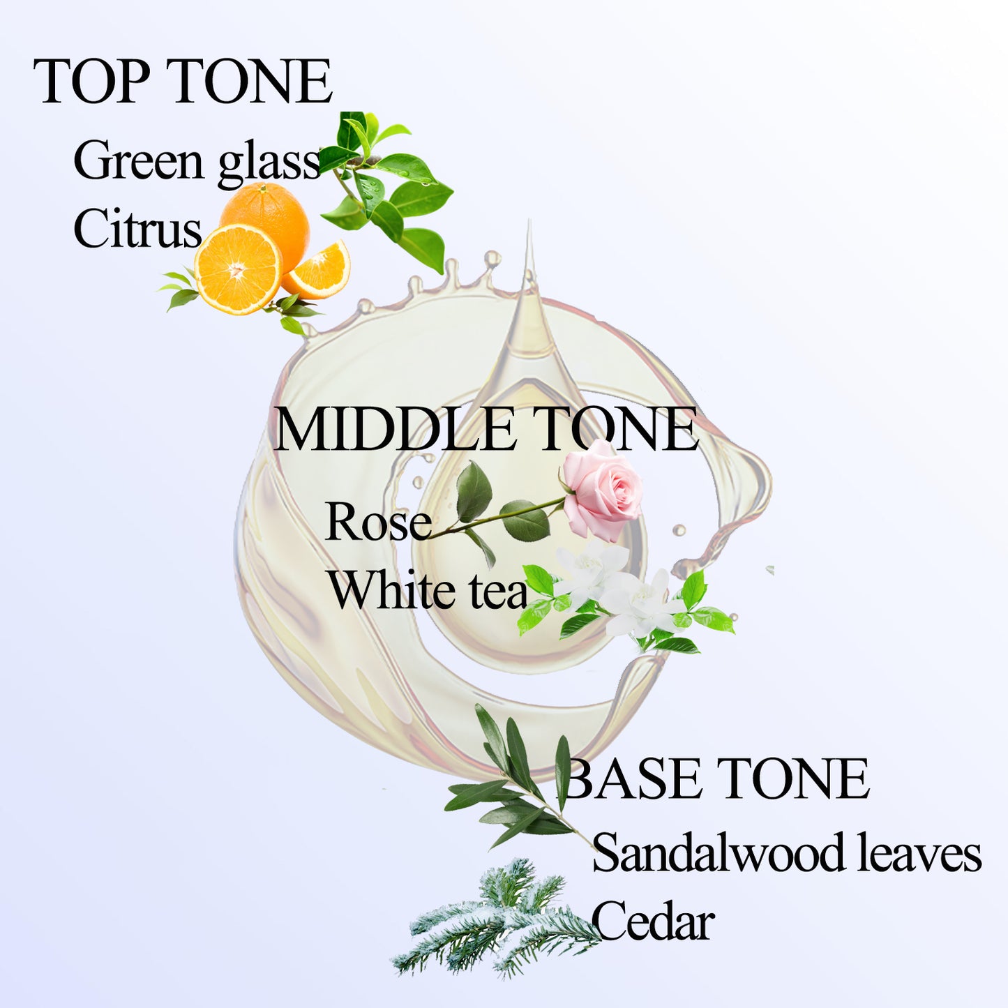 Hotel scents, Hotel Diffuser Oils, Wandering Breeze Aromatherapy Fragrances Inspired by W Hotels, Christmas Gift, Pure Aromatherapy Diffuser Oil with Rose, and Cedarwood- 3.38 Fl Oz